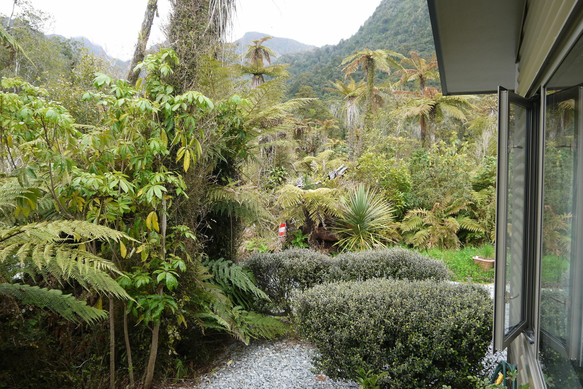 Franz Josef Treetops Eksteriør bilde